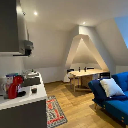 Superbe Logement Centre Appartement